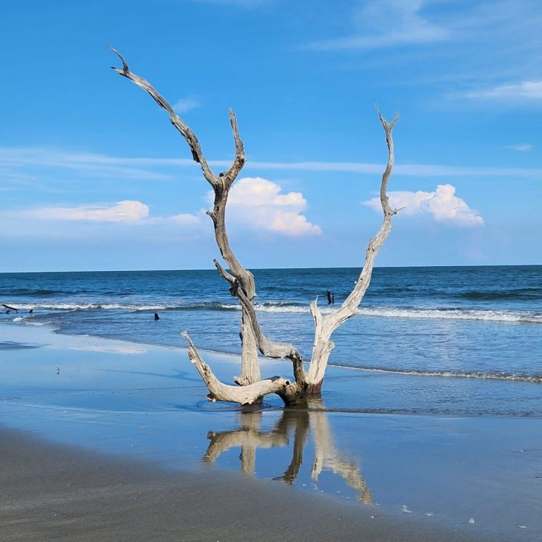 IMG_20240221_083727-1